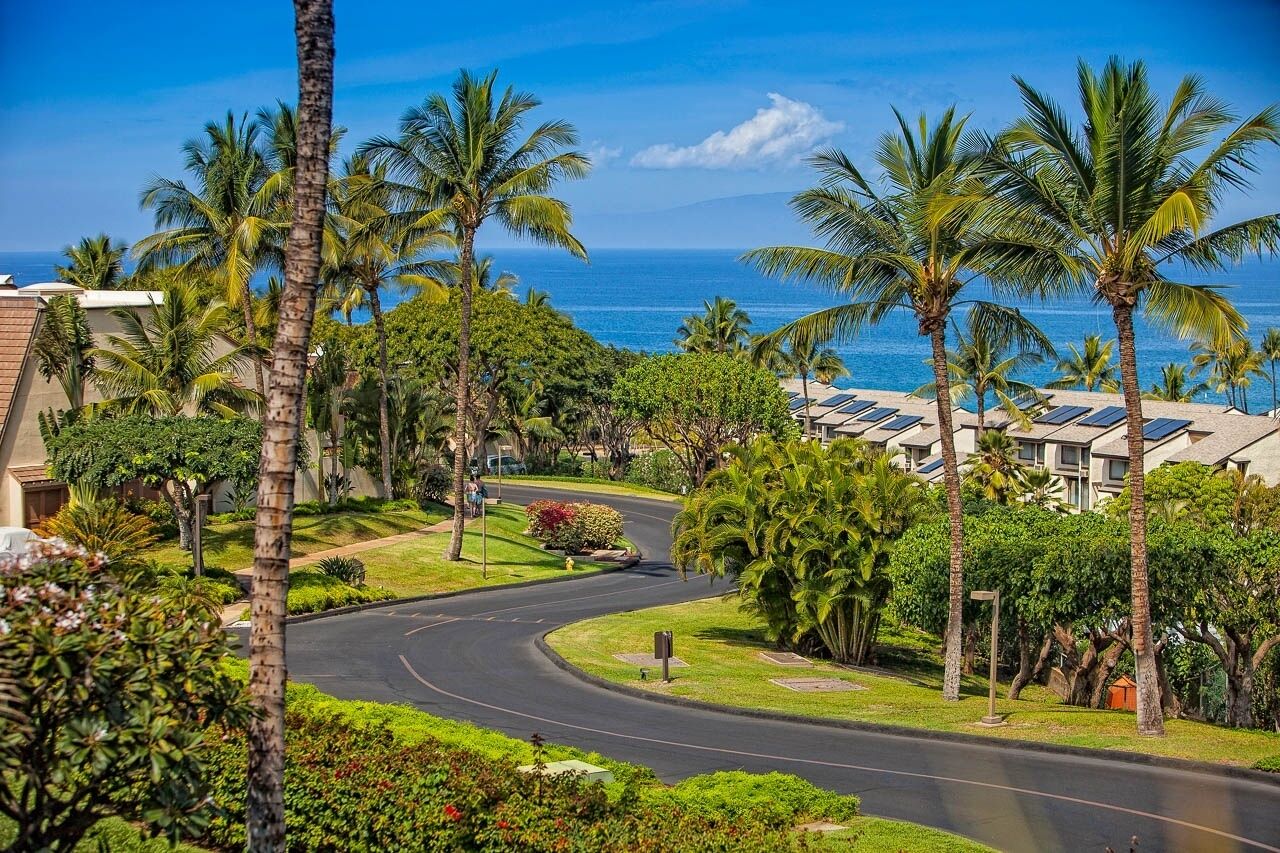 Palm-lined drive through Maui Kamaole with the ocean beyond