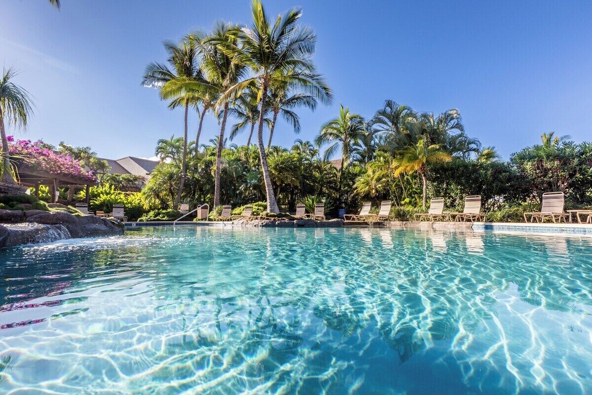 Sparkling resort pool beneath palm trees