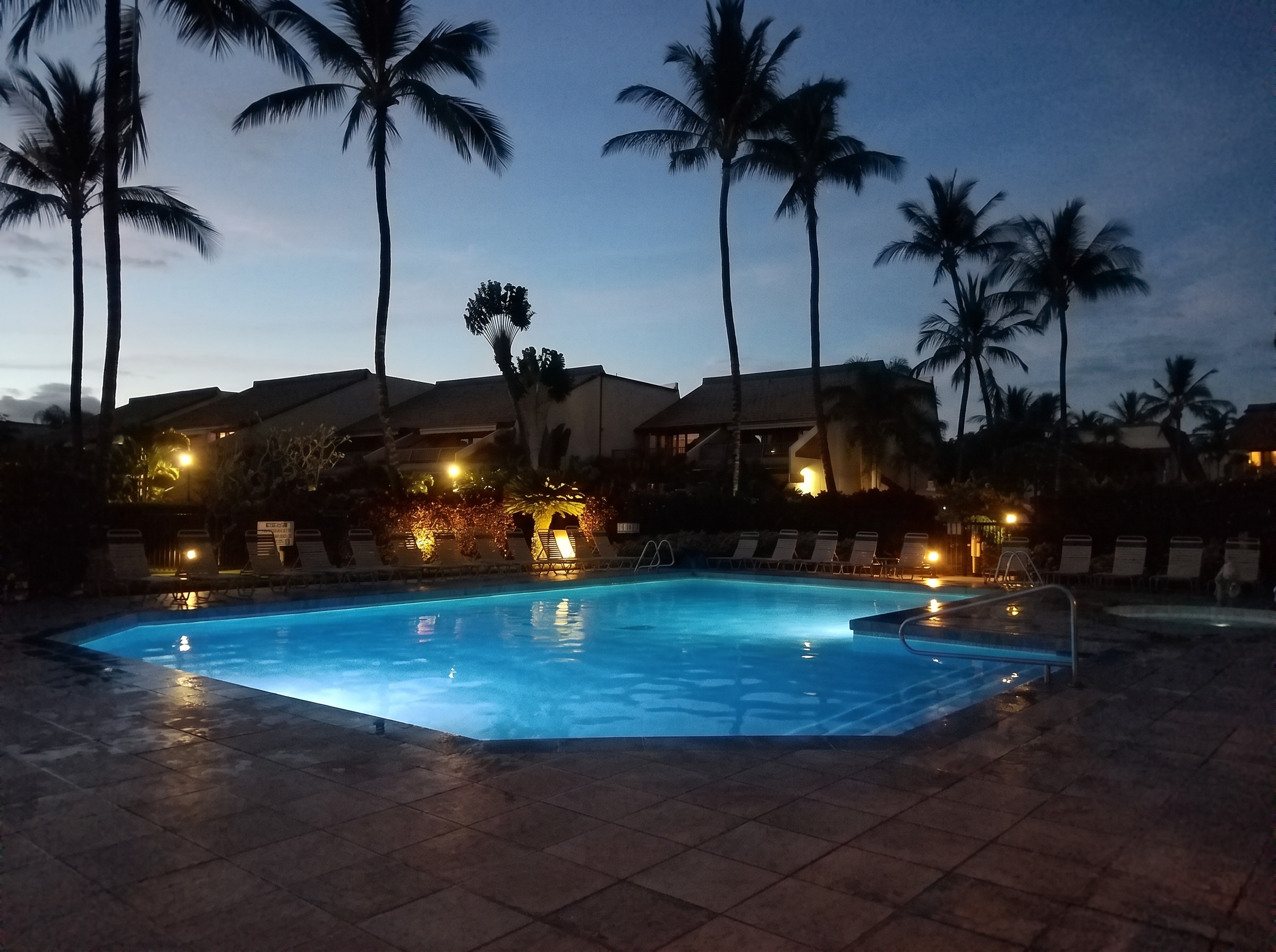 Pool glowing beneath silhouetted palms at twilight