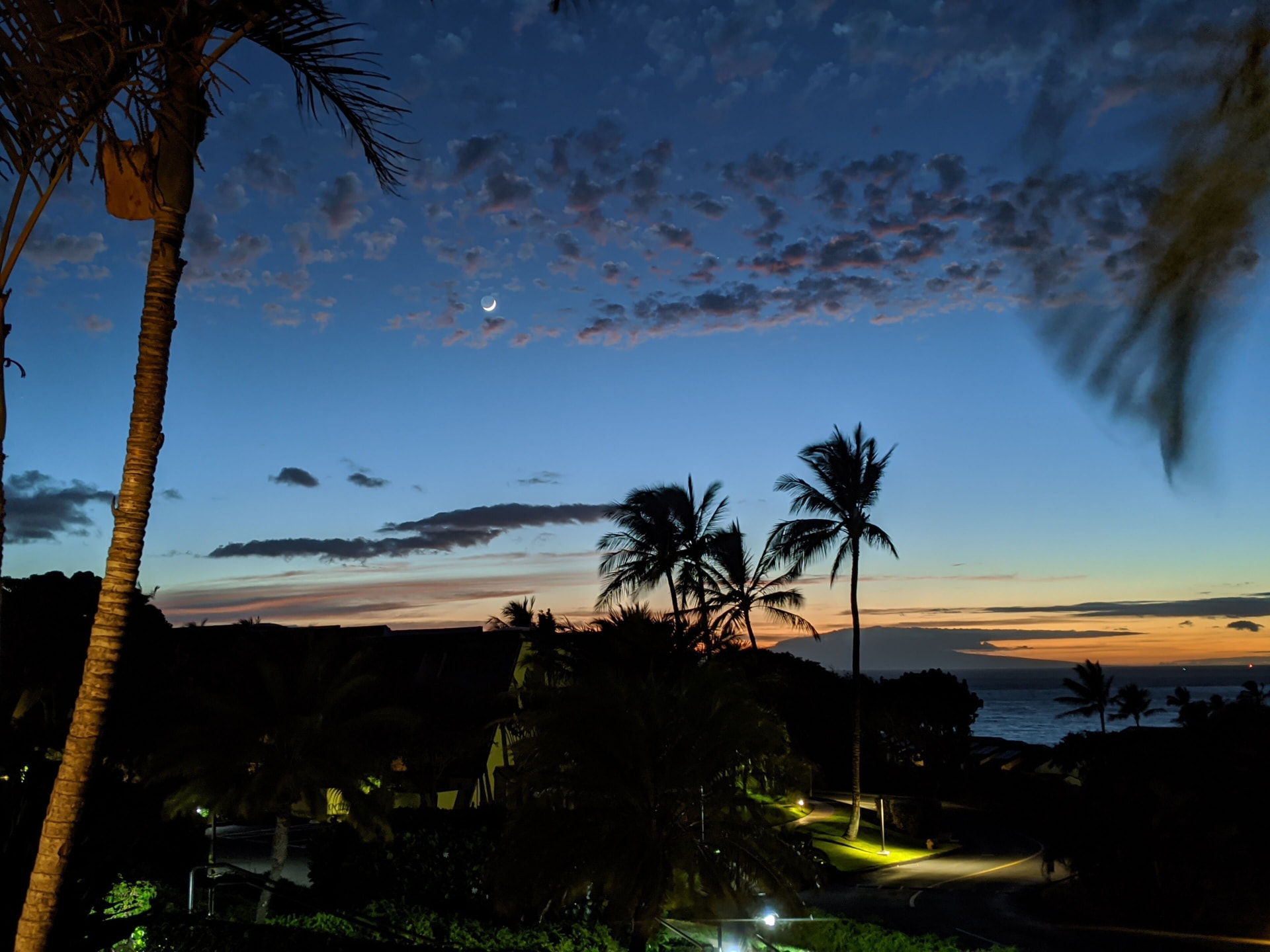 Crescent moon above the ocean and silhouetted palms