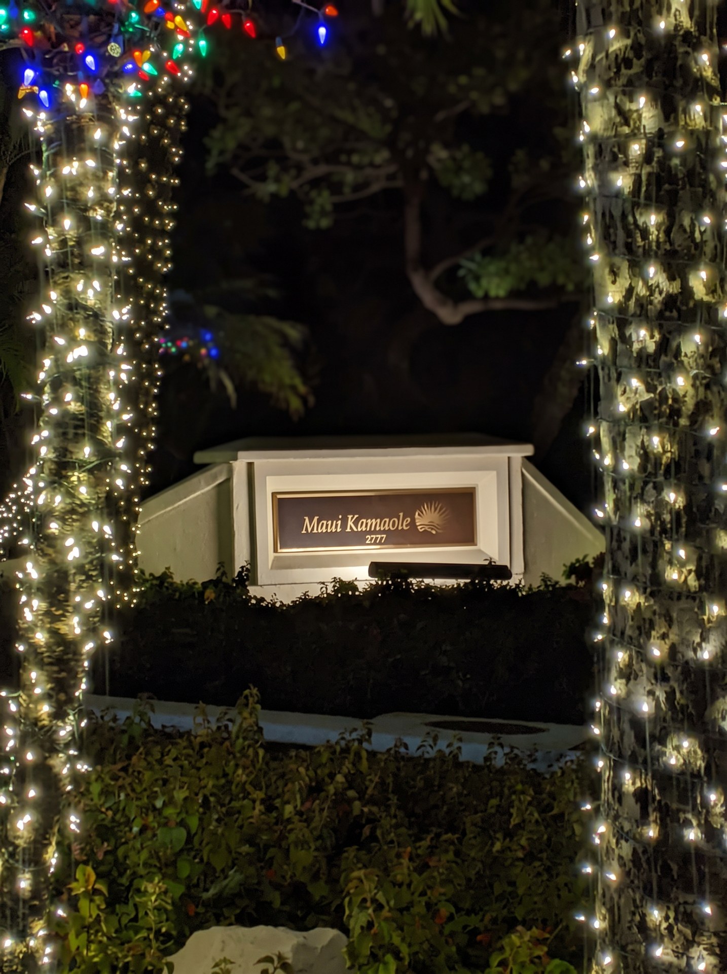 Maui Kamaole entrance sign framed by palm trees wrapped in holiday lights